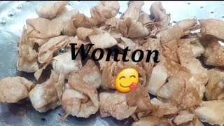 Wonton  Chicken wonton recipe [upl. by Bennir]