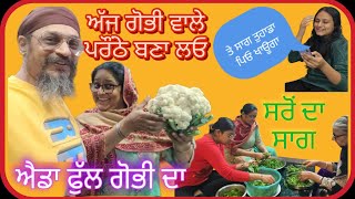 ਬਹੁਤ ਮਜ਼ੇਦਾਰ ਬਲੋਗ ਬਣਿਆ ਅੱਜ ਦਾ  HP NANDRA VLOGS [upl. by Clauddetta]