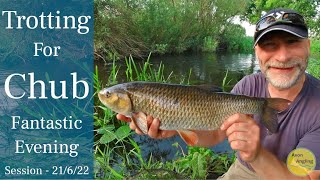 Trotting For Chub On The Stick Float  Small River Fishing With Added Barbel  21622 Video 327 [upl. by Beacham]