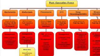 Surgery Algorithm PostOperative fever [upl. by Christenson]