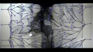 The Evolution of Bacteria on a “Mega Plate” Petri Dish Kishony Lab [upl. by Kora607]