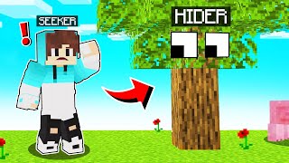 HIDE AND SEEK IN MINECRAFT [upl. by Onyx]