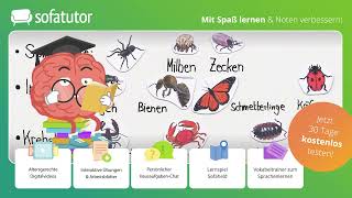 Systematik der Wirbellosen einfach erklärt – Biologie 7 amp 8 Klasse [upl. by Frederiksen]