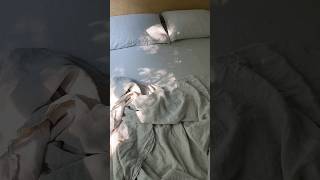 Sleeping on 100 Linen Sheets is the Best linen linensheets sleephacks [upl. by Husain]