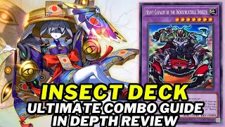 Insect Deck In Depth Combo Guide Best Way To Play Deck List  New Card Analysis [upl. by Viguerie907]