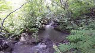 Pêche de la truite au toc en torrent de montagne [upl. by Bruno]