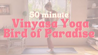 50 Minute Vinyasa Yoga  Bird of Paradise [upl. by Trudie800]