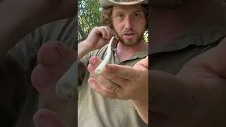 Skipping Arrow for Duck Hunting survival archery outdoors camping nature bushcraft primitive [upl. by Lela]