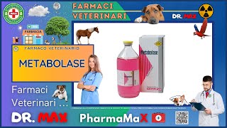 🐶 METABOLASE Farmaco Veterinario a cosa serve   Foglietto Illustrativo 👔 Dr MAX [upl. by Zack]