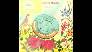 Metin Şanlıel İrfan Elmalıgil Ark  Kız Meryem Original 45RPM Single Analog Remastered [upl. by Edgerton]