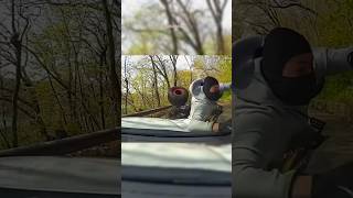 Police Crashes with ATV [upl. by Orofselet]