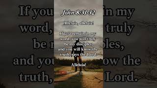 John 83132  Bible Verse of the Day  Alleluia bibleverse faith love prayer short [upl. by Enilesoj]