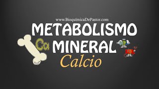 Metabolismo del Calcio  Bioquímica de Pastor [upl. by Kemeny]