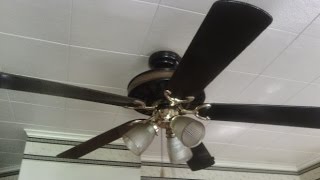 52quot Black amp Polished Brass Lasko Preferred Design amp Light Ceiling Fan [upl. by Padriac]