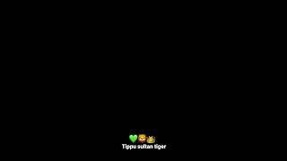 Tipu Sultan tiger 🐅 tipusultanvideo king imranmullai6s [upl. by Naoj105]