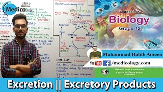 Excretion Homeostasis  Excretory Product  Federal Board Biology XII [upl. by Woolson]