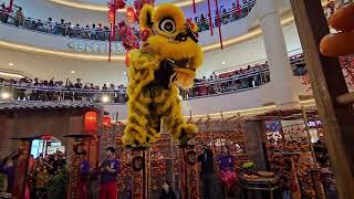 Chinese New year special Lion Dance 🦁  Midvalley MegaMall [upl. by Hagar]