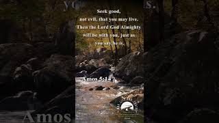 Amos 514  dailybibleverse bibleverse followchristeveryday [upl. by Alexandros852]