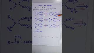 Malonic ester synthesis of Amino acids ORGANIC CHEMISTRY BSc SECOND YEAR SEMESTER IV [upl. by Okiram]