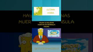 Encuentran 21 ballenas muertas en Península Valdés PenínsulaValdés ballena Chubut MedioAmbiente [upl. by Dorotea]