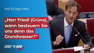 Prof Hahn fragt nach quotHerr Friedl Grüne wann besteuern Sie uns denn das Regenwasserquot [upl. by Dusen537]