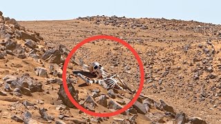 NASAs Mars Rover Perseverance Sent Super Incredible Footage of Mars Sol 117 Curiosity Mars In 4k [upl. by Leavelle]