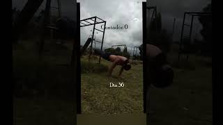 36 Flexiones DECLINADAS x 100dias calistenia calisthenics aestheticmotivation fitness fit [upl. by Muna]