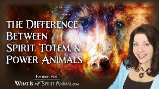 Spirit Animals Explained  The Difference Between Spirit Totem amp Power Animals [upl. by Leahcym]