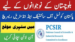 How to apply PCSIR jobs in Balochistan 2024  PCSIR scientific officer jobs in Quetta and Gawadar [upl. by Nimzaj]