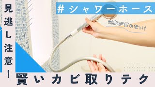 洗剤が垂れない！「シャワーホースのカビ取り法」 [upl. by Mloc]