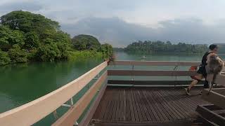 MacRitchie Nature Trail  Tree Top Walk  Early Morning RunWalk  Part 17 [upl. by Scoville924]