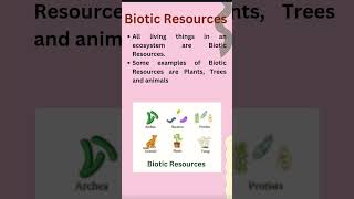 Biotic and Abiotic Resources [upl. by Rodama799]