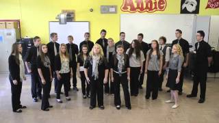 MHS Dukes of Harmony performing Titanium [upl. by Heddie]