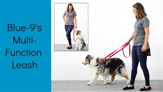 How To Use Blue9s MultiFunction Dog Leash  Help Train Your Dog To Walk Nicely On Leash [upl. by Ynots517]