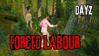 He Came to Our BASE So We Made Him Chop Trees  DayZ [upl. by Nosmoht]