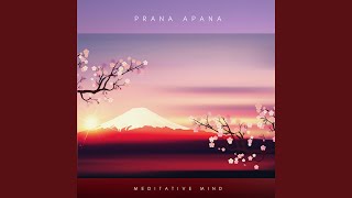 Prana Apana [upl. by Coombs123]