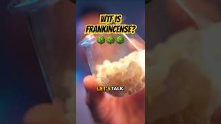 Frankincense Fragrance Ingredient Review [upl. by Miltie]