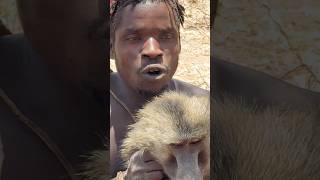 Bushmen hunting food africantribe [upl. by Matuag287]