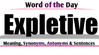 Expletive Meaning in English and Hindi  Expletive Synonyms and Antonyms  Expletive in Sentences [upl. by Emelyne]