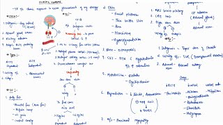 CUSHING SYNDROME NOTES  ONE PAGE NOTES  ENDOCRINE  MEDICINE  4TH PROFF  MBBS [upl. by Flossi]