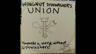 Wingnut Dishwashers Union  Picking Sides [upl. by Elaine]