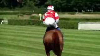 horse racing  Galopprennen [upl. by Lurette]