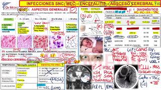 6 INFECCIONES SNC TRATAMIENTO [upl. by Tnias997]