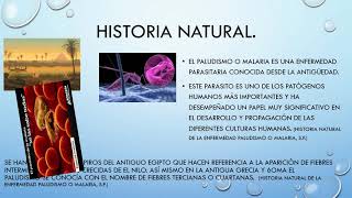 Malaria historia natural [upl. by Loydie459]