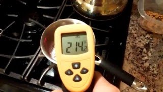 Etekcity LaserGrip 800 Temperature Gun Thermometer Review [upl. by Doro]