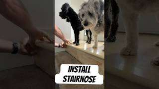 How to Replace a Laminate Flooring Stair Nose [upl. by Eanar]