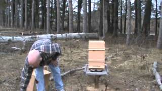 How to set up a Warre hive [upl. by Luapsemaj]