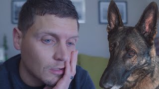 What I Wish I Knew Before Getting a German Shepherd [upl. by Rebma]