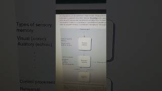 Atkinson and shiffrin modal memory model [upl. by Airtina808]