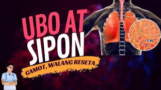 PLEMA sa Baga UBO at SIPON Tanggalin in These Simple Steps  Gamot sa Ubo at Sipon [upl. by Estelle]